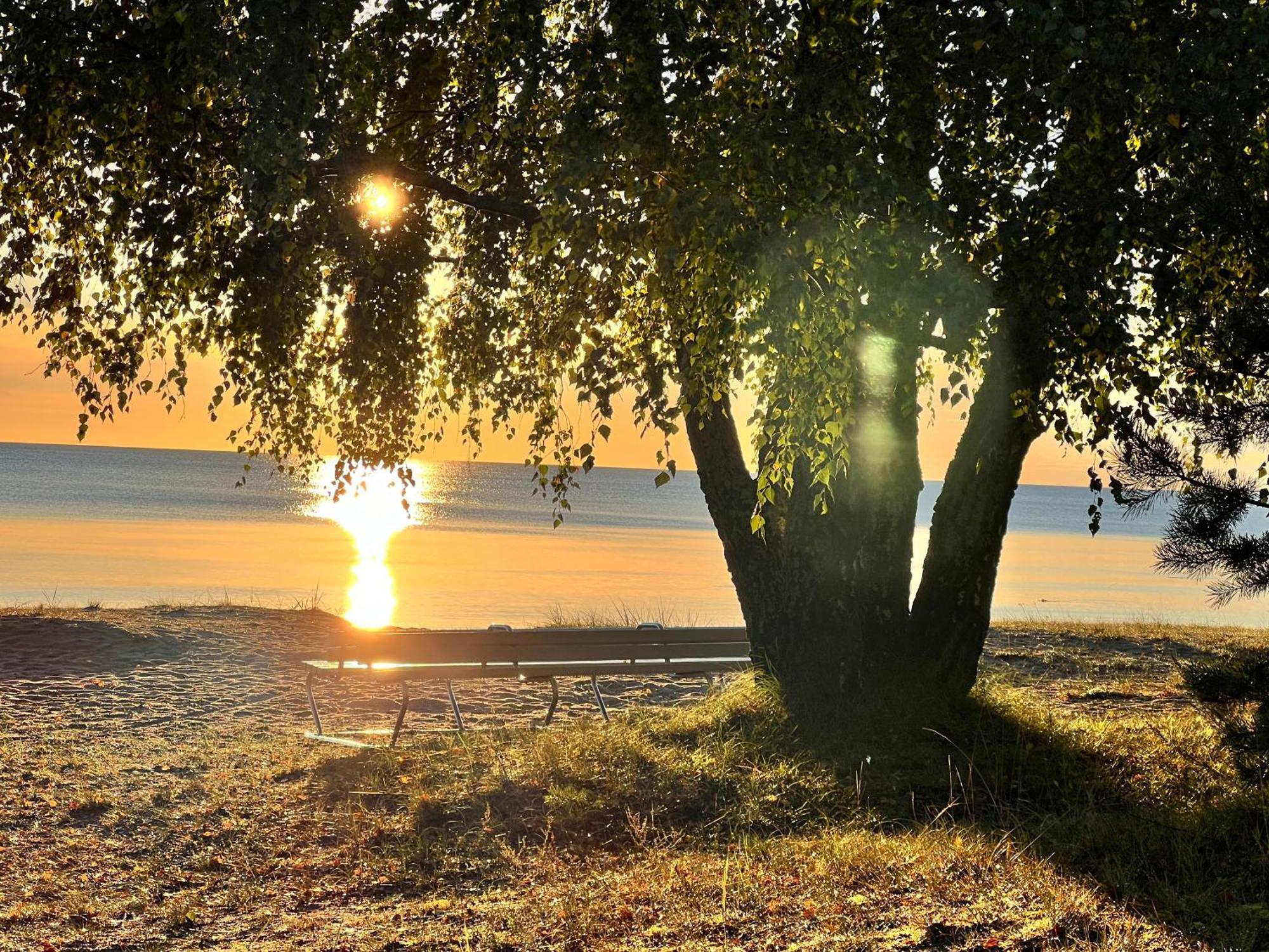 Lovely Apartment By The Sea. Ķesterciems Buitenkant foto